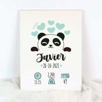 Lienzo Datos Nacimiento Panda
